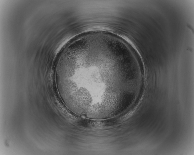 X0000100350783200806061113
