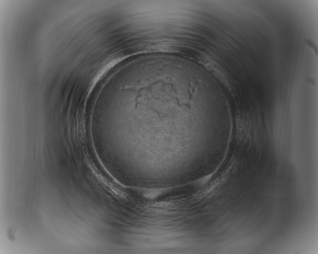 X0000100350784200806061113