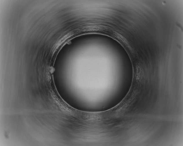 X0000100350786200806061113