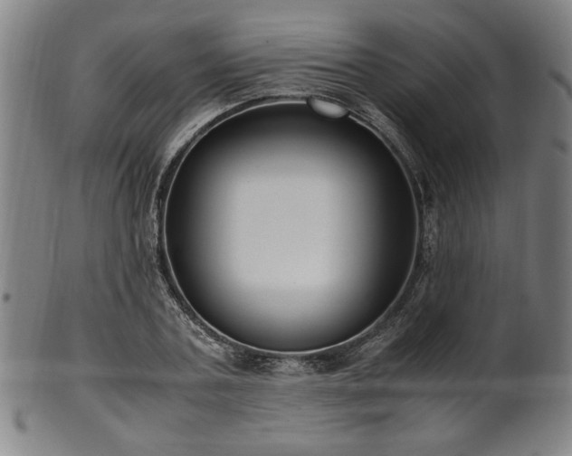 X0000100350787200806061113