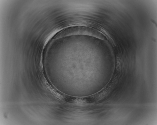 X0000100350788200806061113