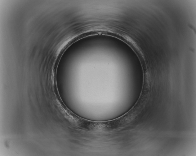 X0000100350791200806061113