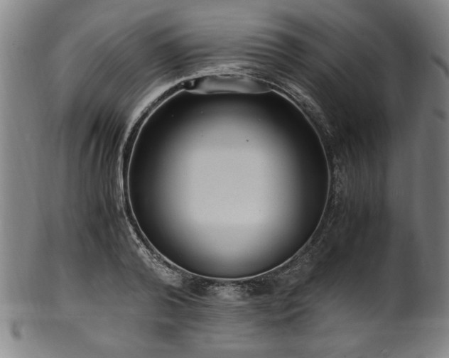 X0000100350792200806061113