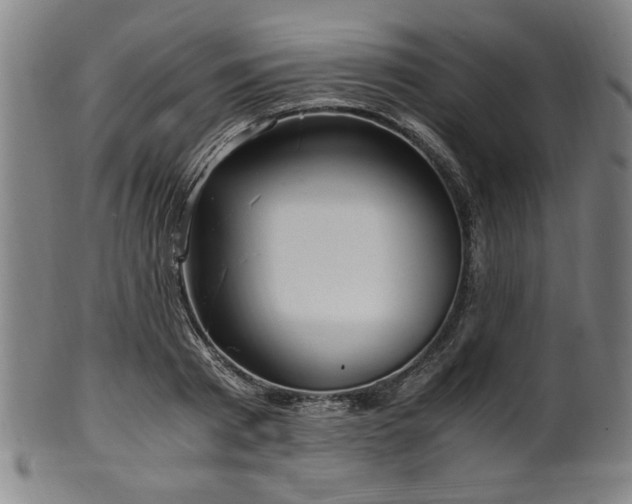 X0000100350793200806061113