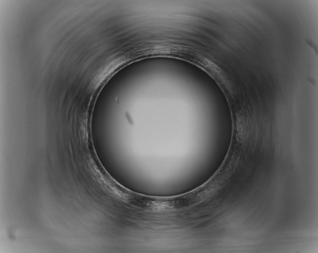 X0000100350794200806061113