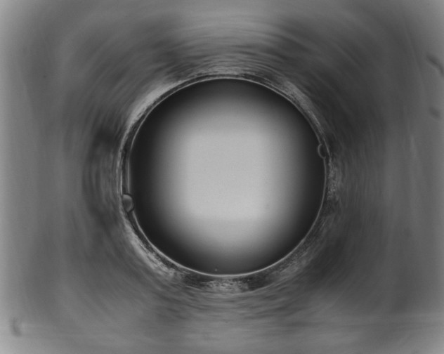 X0000100350795200806061113