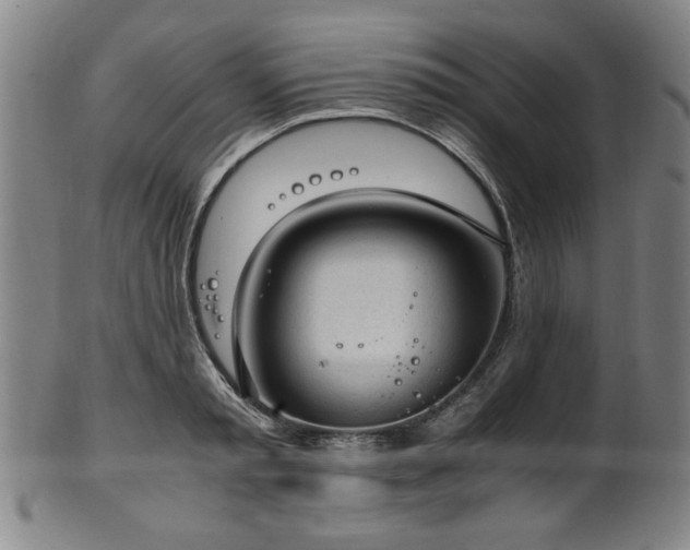 X0000100350797200806061113