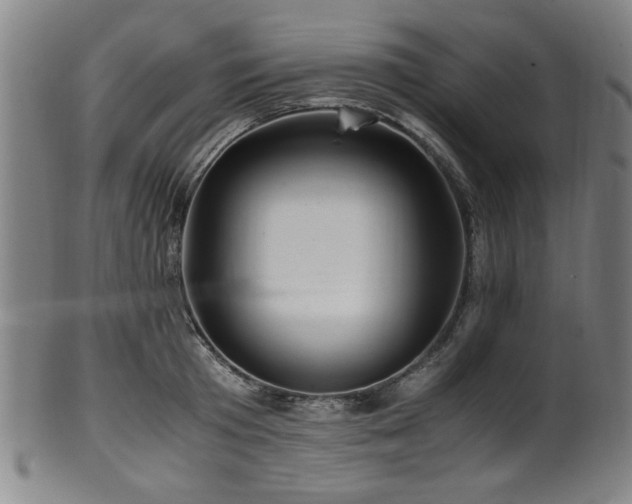 X0000100350801200806061113