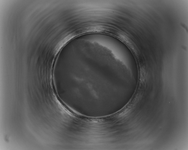X0000100350802200806061113