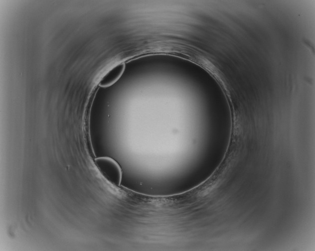 X0000100350803200806061113