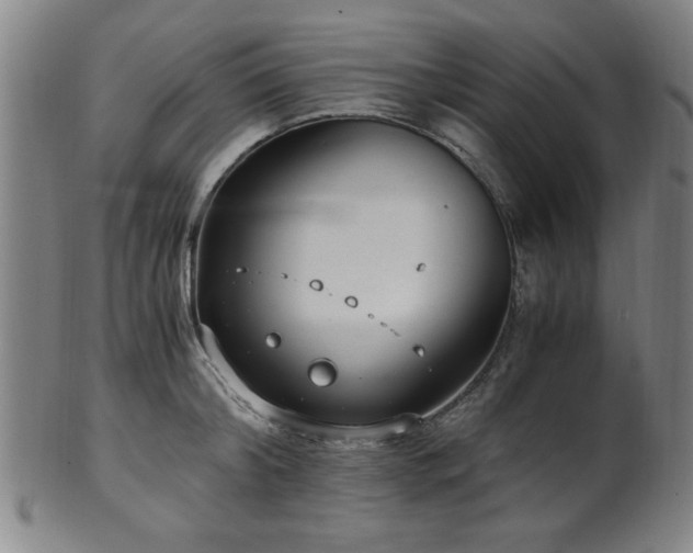 X0000100350804200806061113