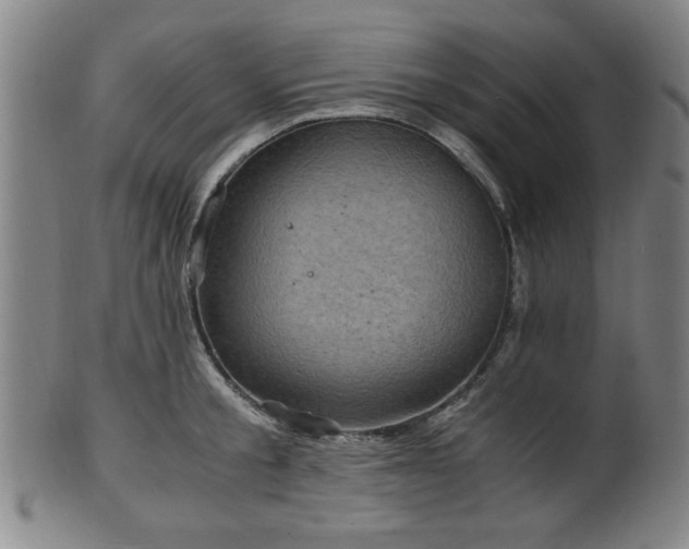 X0000100350805200806061113