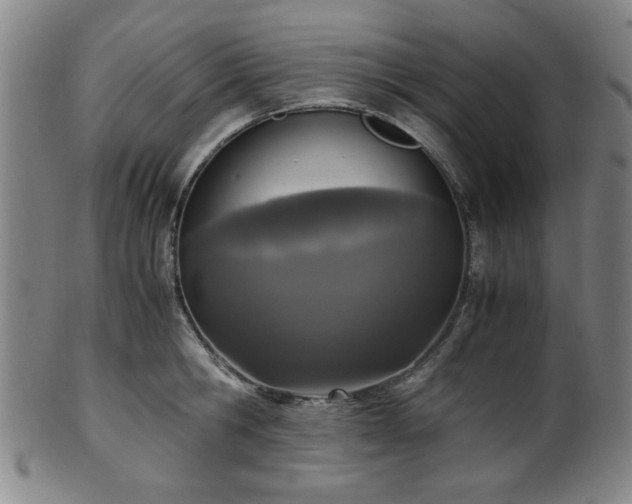 X0000100350806200806061113