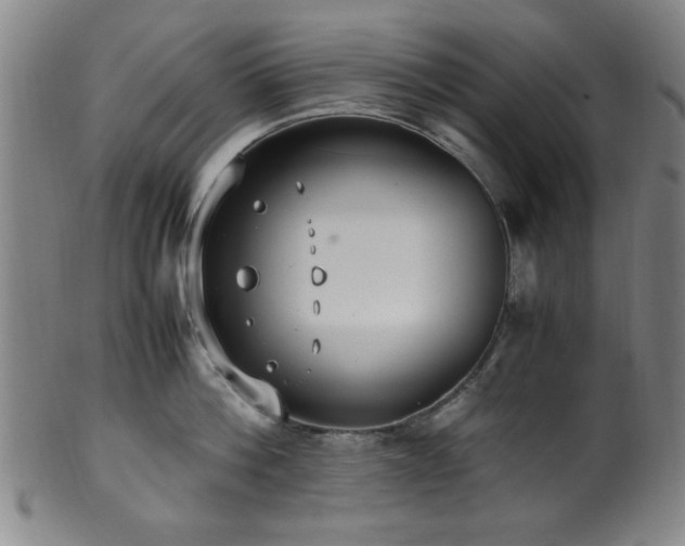 X0000100350812200806061113