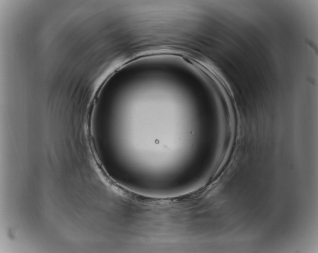 X0000100350813200806061113