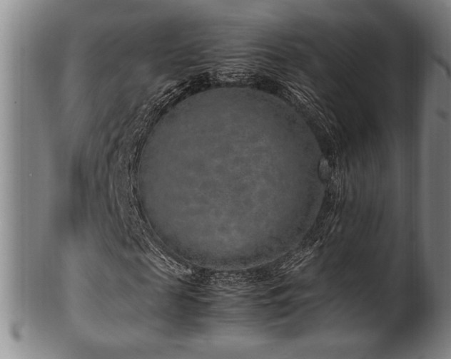 X0000100350817200806061112
