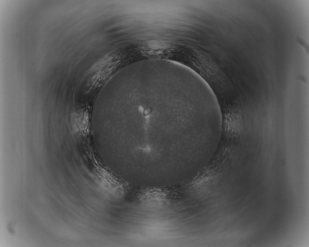 X0000100350820200806061112