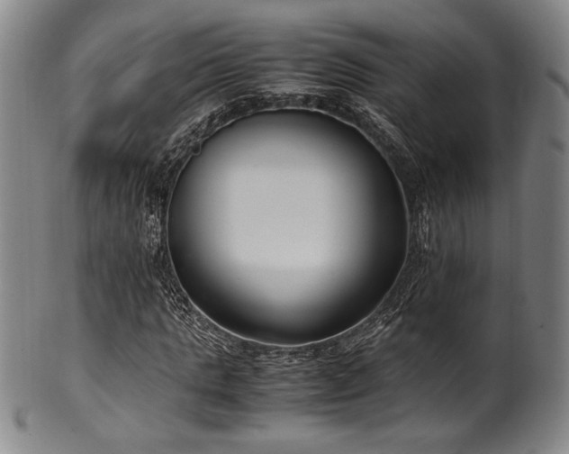 X0000100350821200806061112