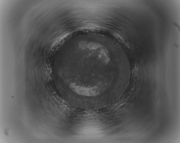 X0000100350822200806061112