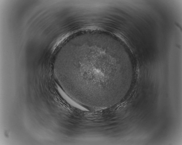 X0000100350823200806061112