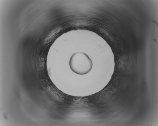 X0000100350824200806061112