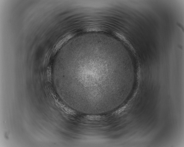 X0000100350825200806061112