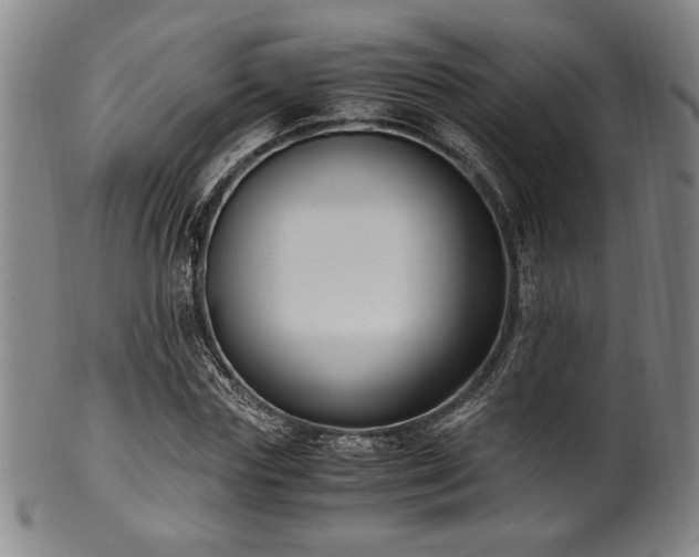 X0000100350827200806061112