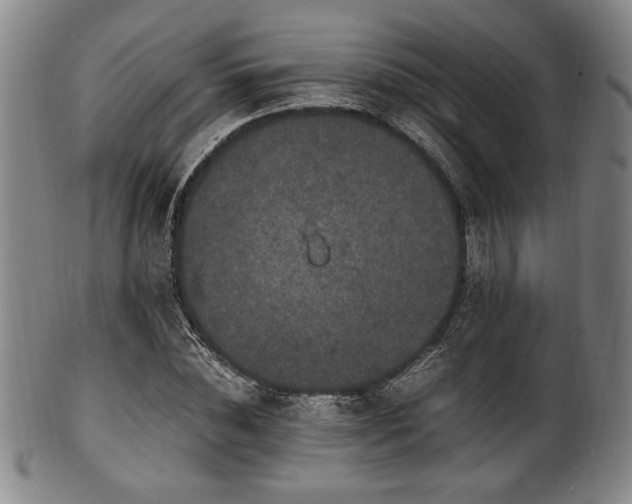 X0000100350828200806061112