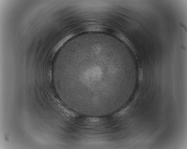 X0000100350829200806061112