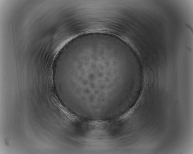 X0000100350830200806061112
