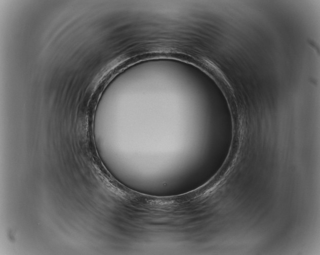 X0000100350831200806061112