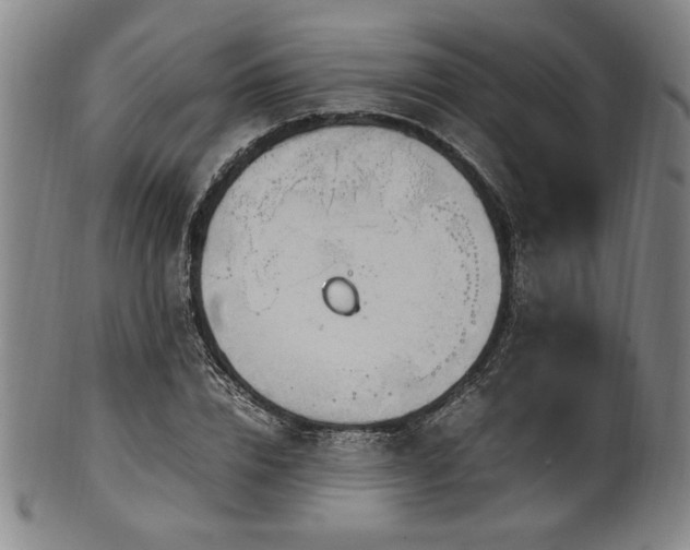 X0000100350832200806061112