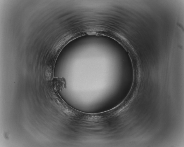 X0000100350833200806061112
