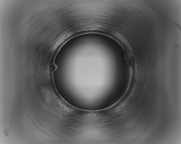 X0000100350834200806061112