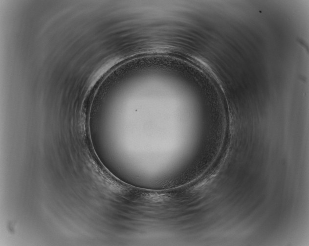 X0000100350835200806061112