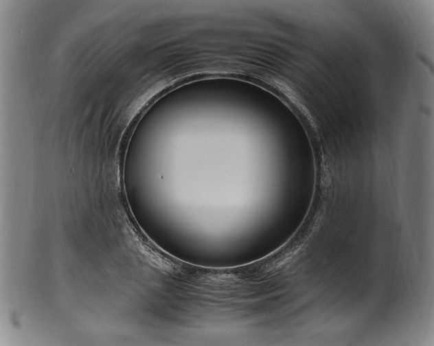 X0000100350837200806061112