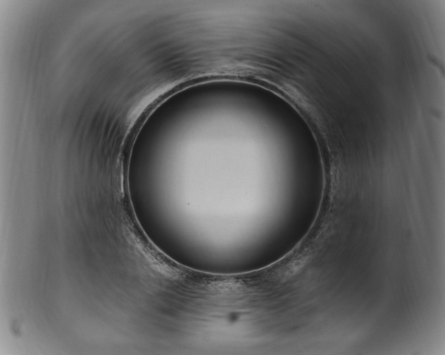 X0000100350838200806061112