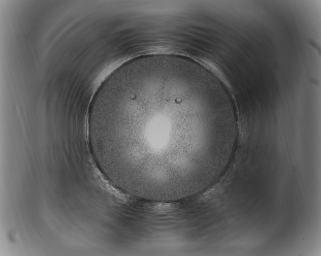 X0000100350839200806061112