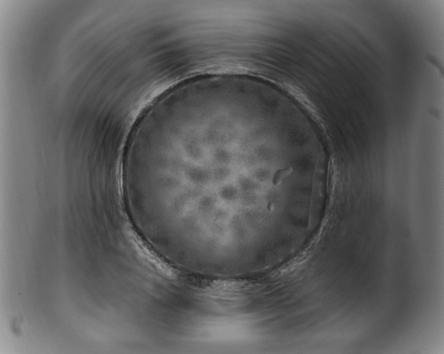 X0000100350840200806061112