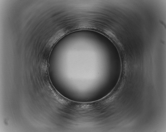 X0000100350841200806061112