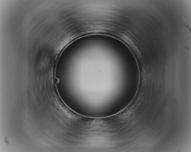 X0000100350842200806061112