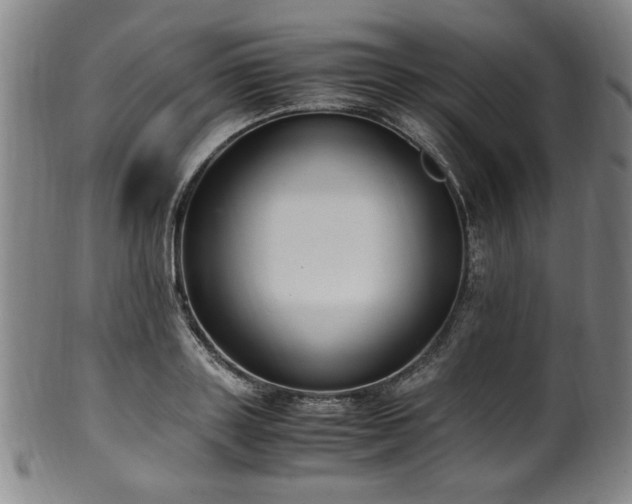 X0000100350843200806061112