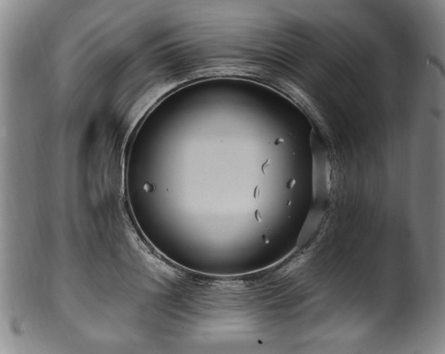 X0000100350844200806061112