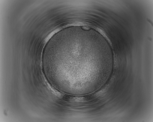 X0000100350845200806061112