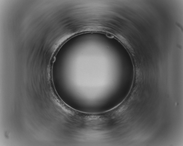 X0000100350846200806061112