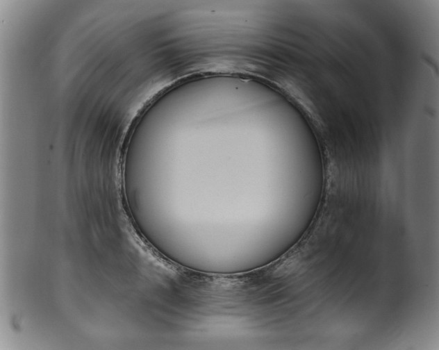 X0000100350848200806061112
