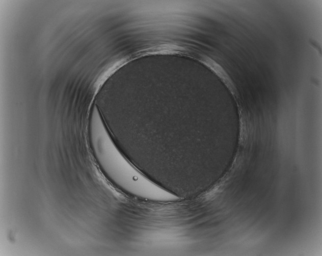 X0000100350850200806061112