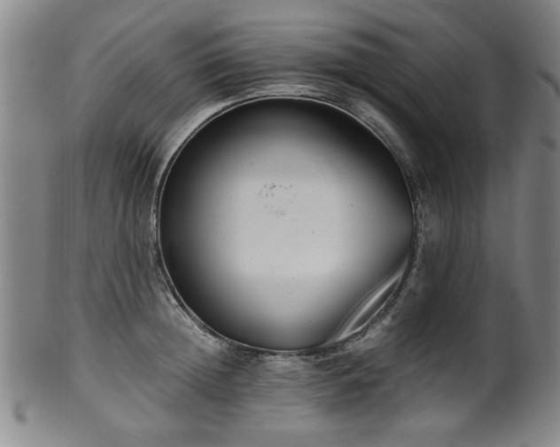 X0000100350852200806061112