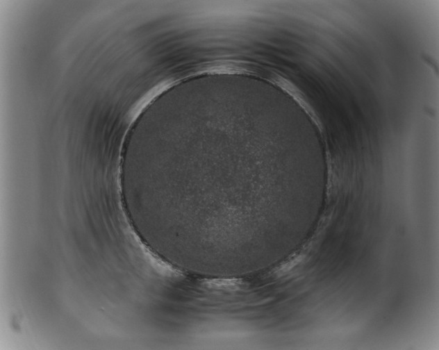 X0000100350853200806061112