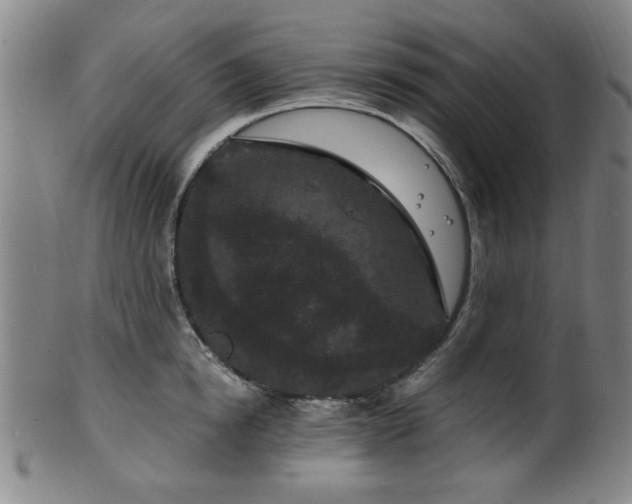 X0000100350854200806061112